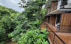 Maesa Greenery Hill Sha